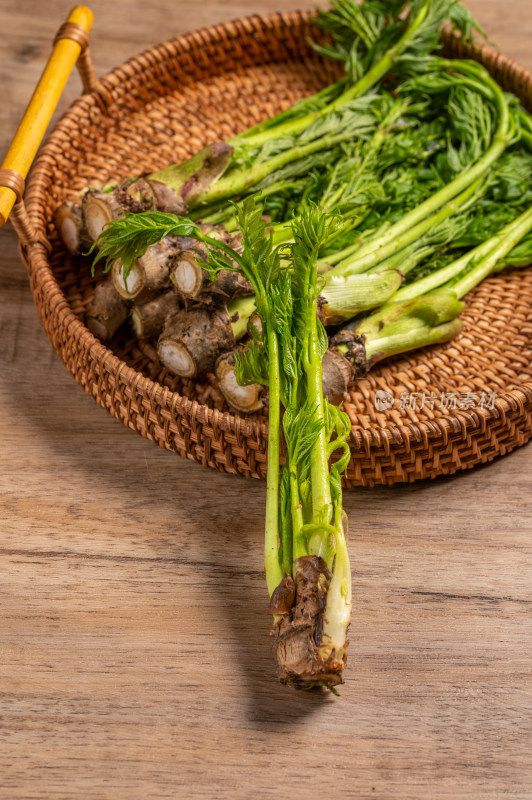 新鲜野菜刺嫩芽