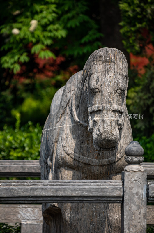 洛阳白马寺入口门白马石狮子景点景观