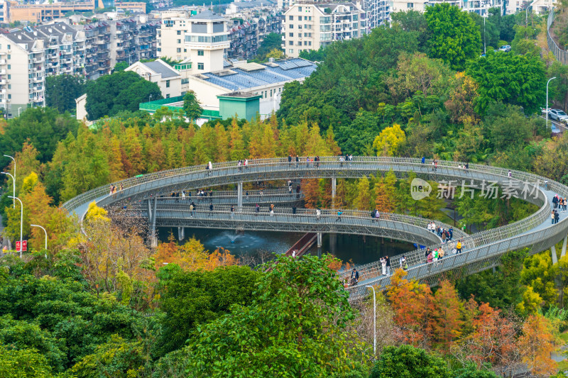 福州福道山林中蜿蜒的观景步道