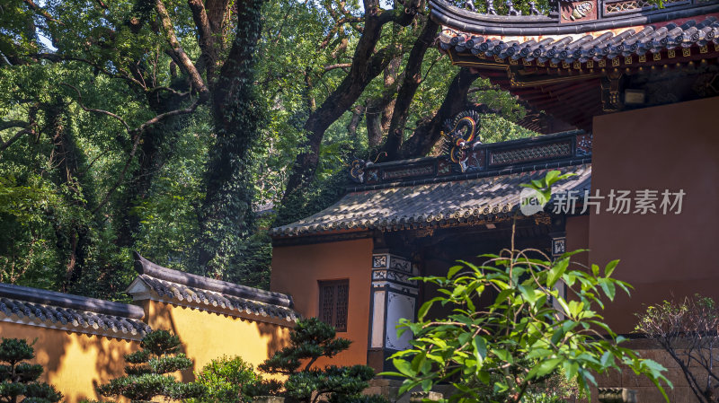 浙江普陀山法雨寺禅院