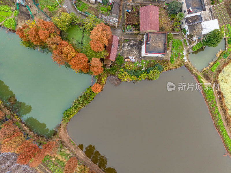 农村田园秋季风景