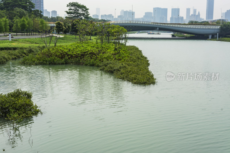 深圳桂湾公