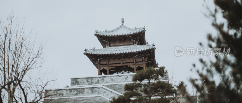 天津市水西公园 冬天雪景