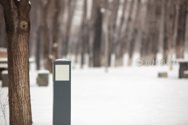 冬季的雪景在公园里