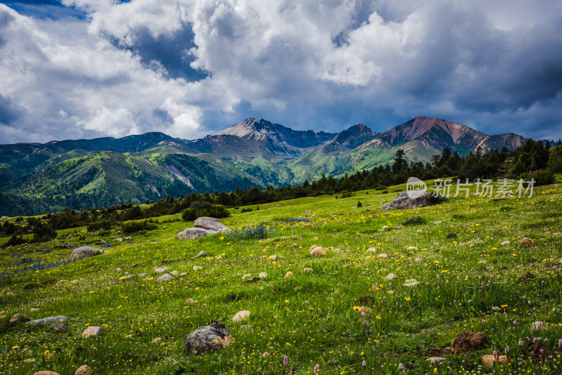 川西格聂草原自然风景