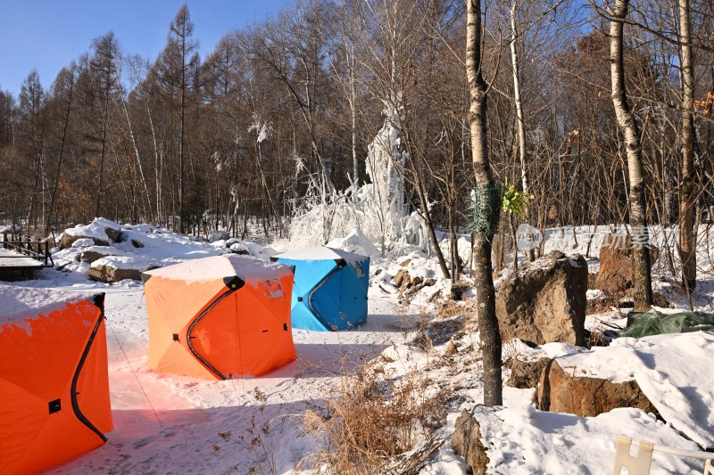 雪后树林蓝天相映的冬日自然景象