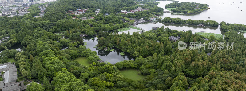 杭州西湖十景曲院风荷夏日