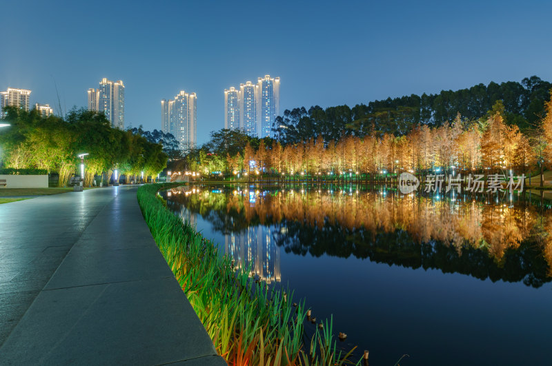 佛山千灯湖南海活水公园落羽杉红叶夜景灯光