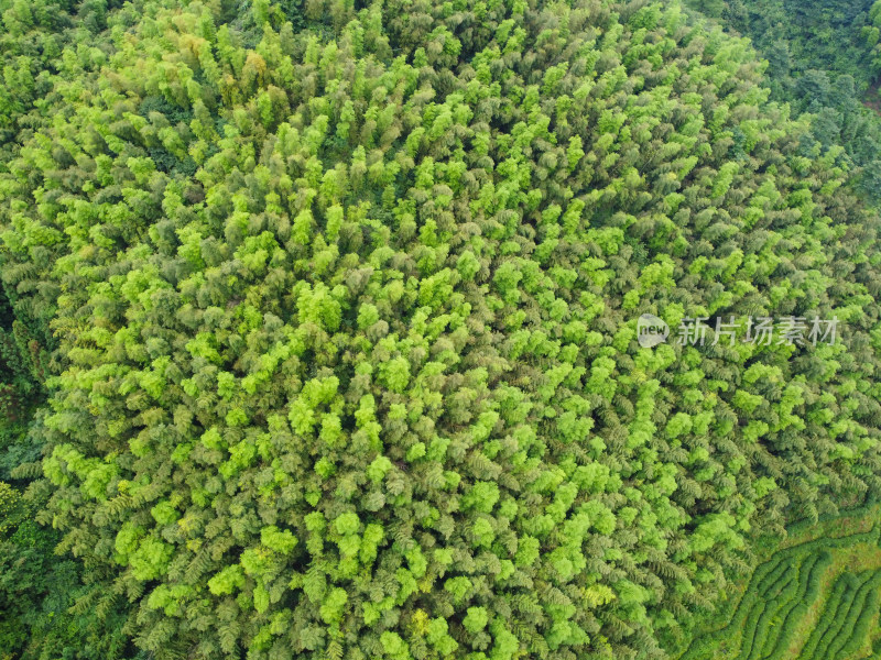 森林山脉航拍