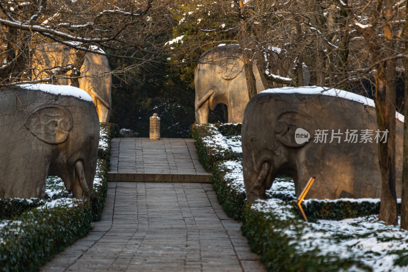 南京明孝陵石象路神道雪景