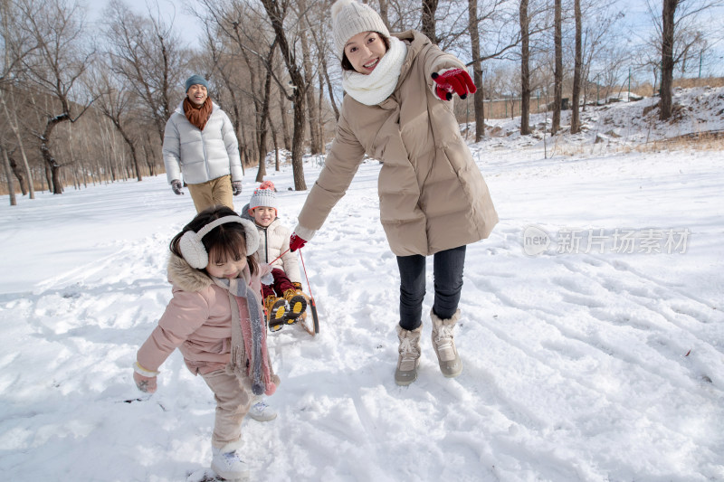 欢乐家庭在雪地上玩雪橇