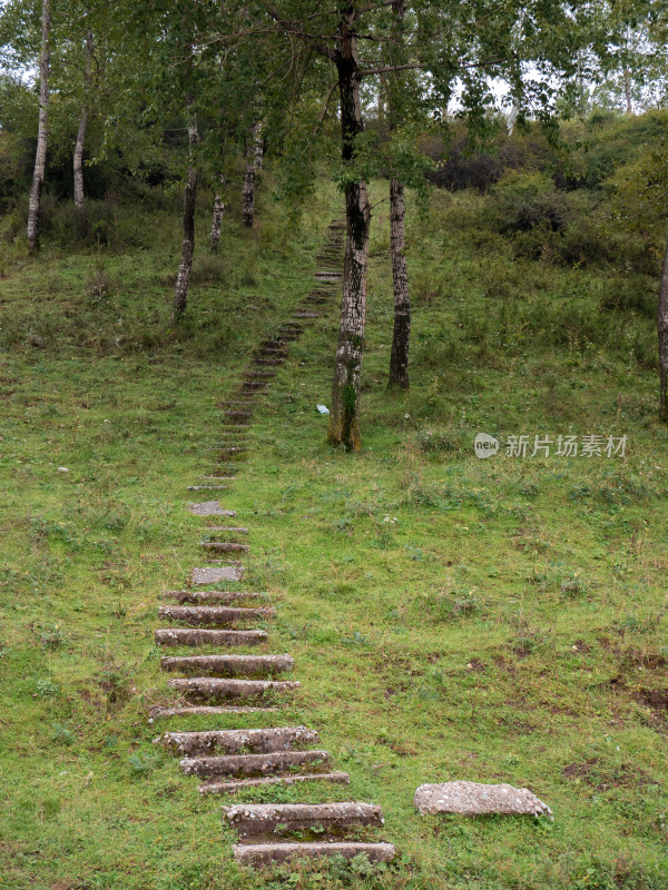 林间小路