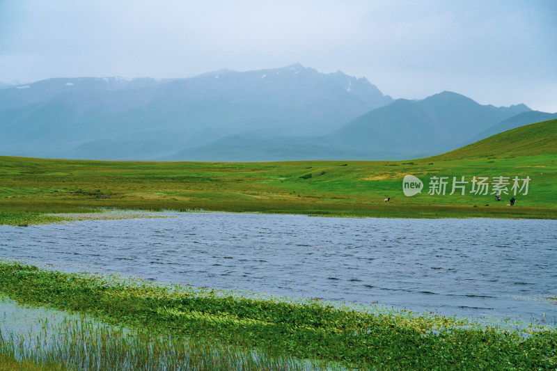 新疆内蒙大草原山脉湖泊湖水自然风光