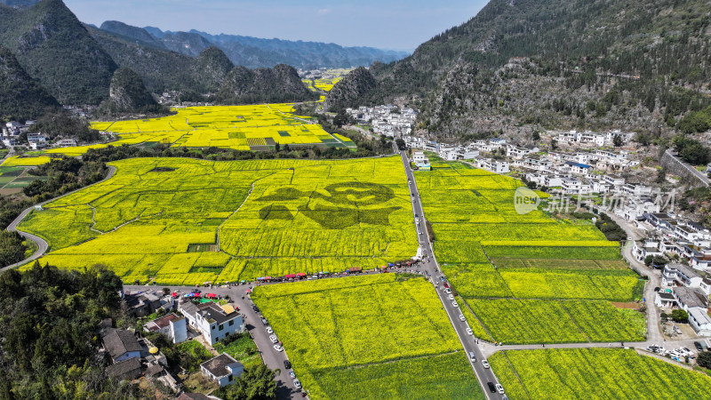 金色田园风光  油菜花海与村落