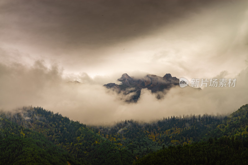 云雾中的森林山峰虎头山