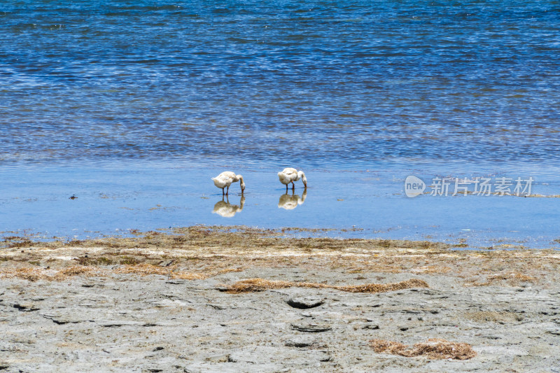 阿里高原湖泊玛旁雍措