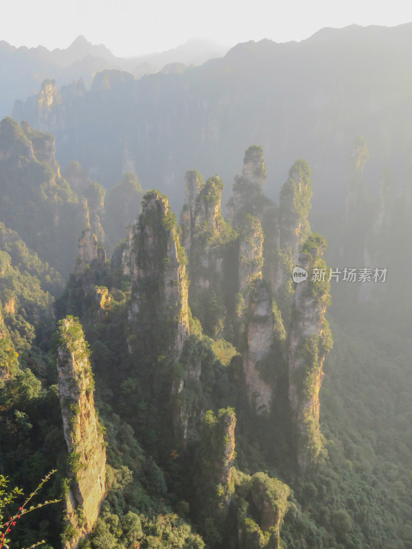 中国湖南张家界国家森林公园旅游风光