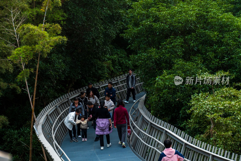 福州福道山林中蜿蜒的观景步道