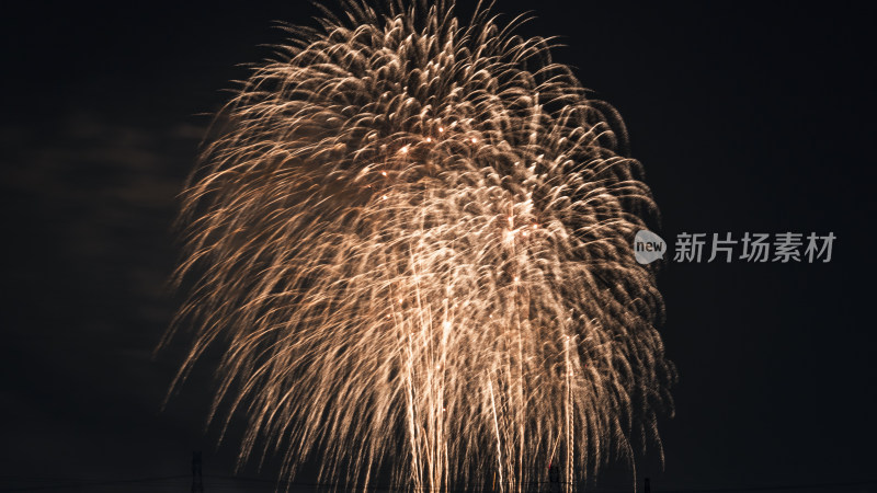 璀璨烟花绽放夜空的绚烂景象