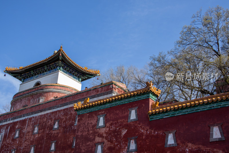 北京颐和园四大部洲藏式建筑春日风光