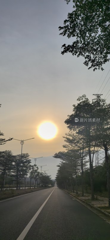 清晨阳光照耀下的空旷道路景象