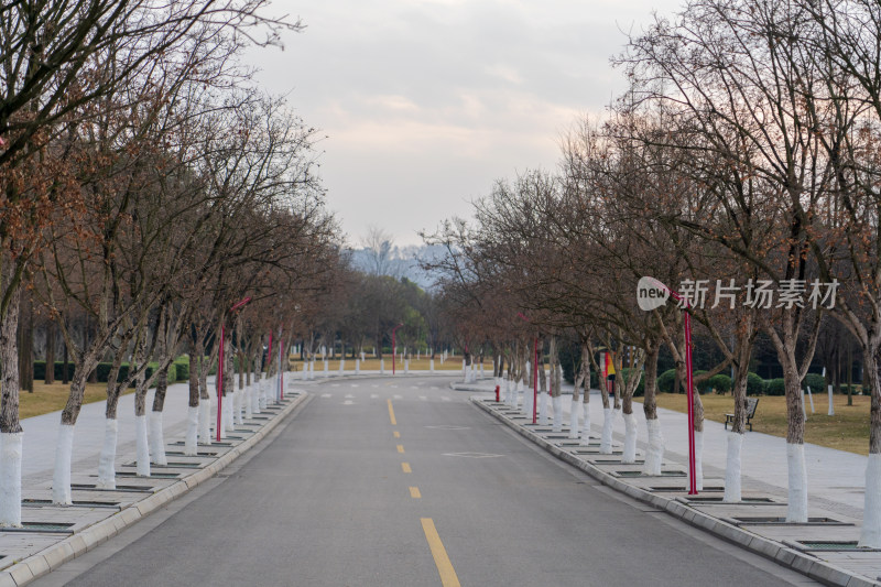 四川眉山湿地公园绿道