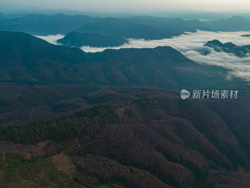 航拍群山中的云海自然风光