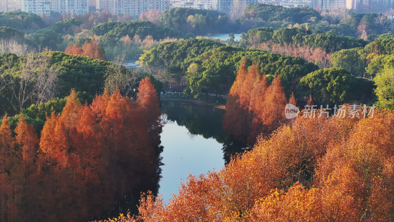 城市公园湖泊与高楼全景