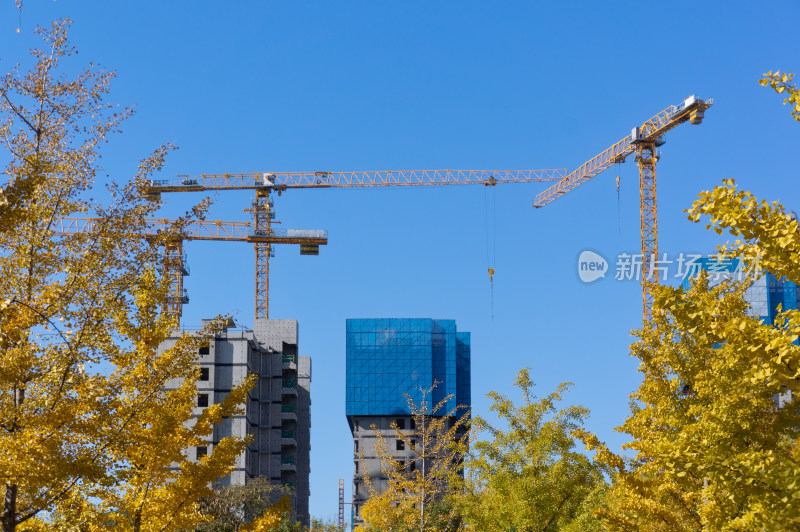 建筑工地上的塔式起重机