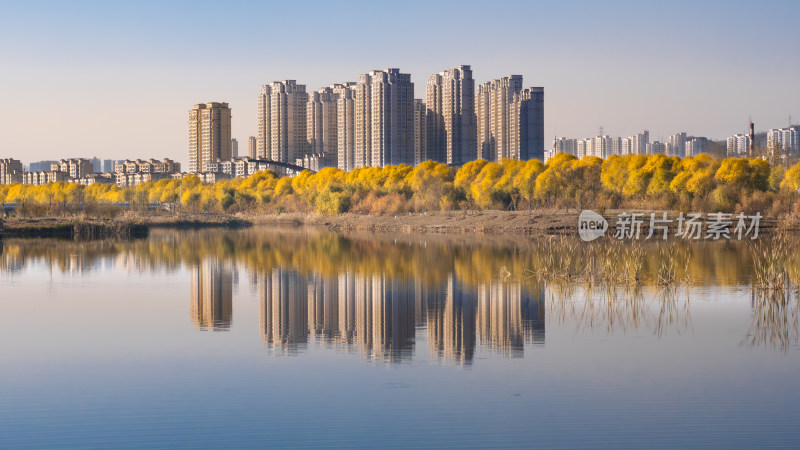 西宁 宁湖湿地公园 青海 秋天 秋季