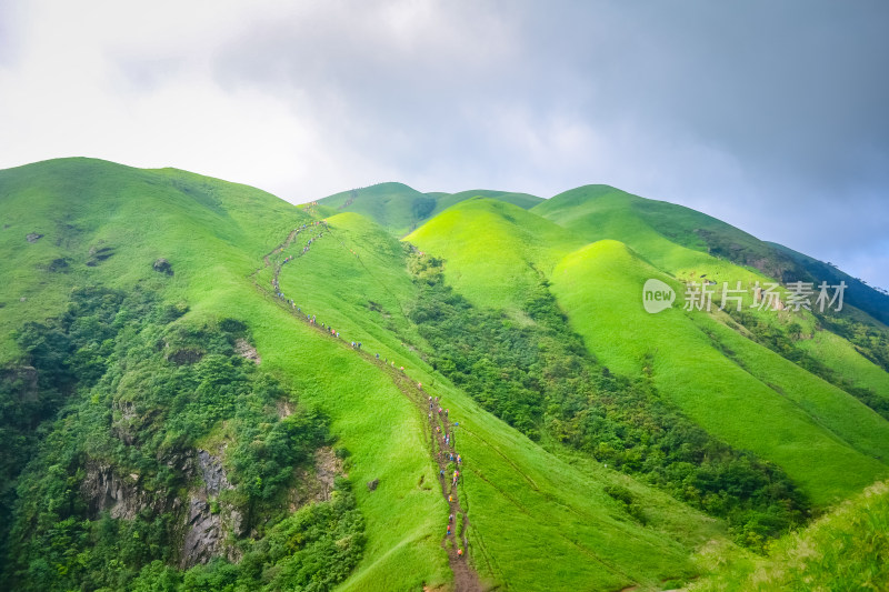 江西武功山高山草甸