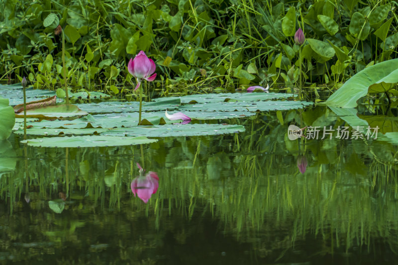 武汉东湖磨山景区风光