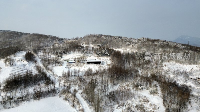 雪后乡村