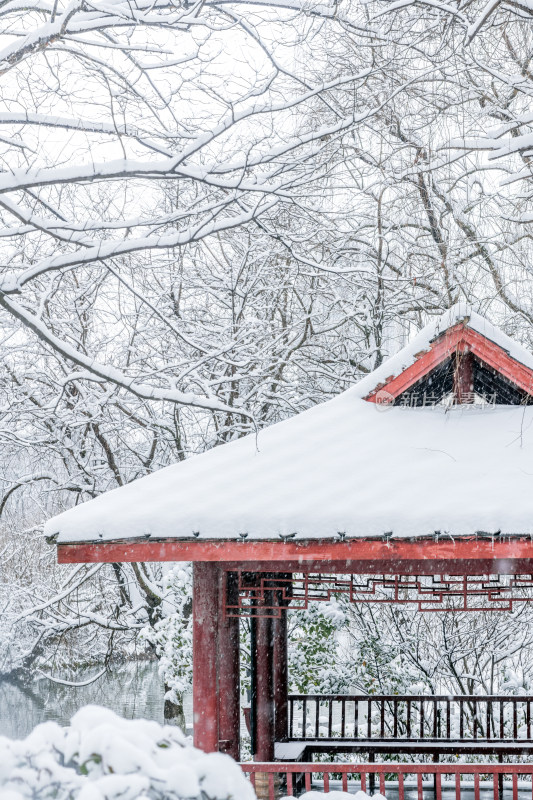 大雪中树林里的亭子