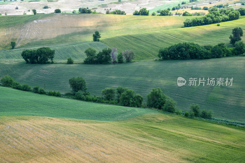 新疆木垒伴山公路 观景台俯瞰山坡麦田