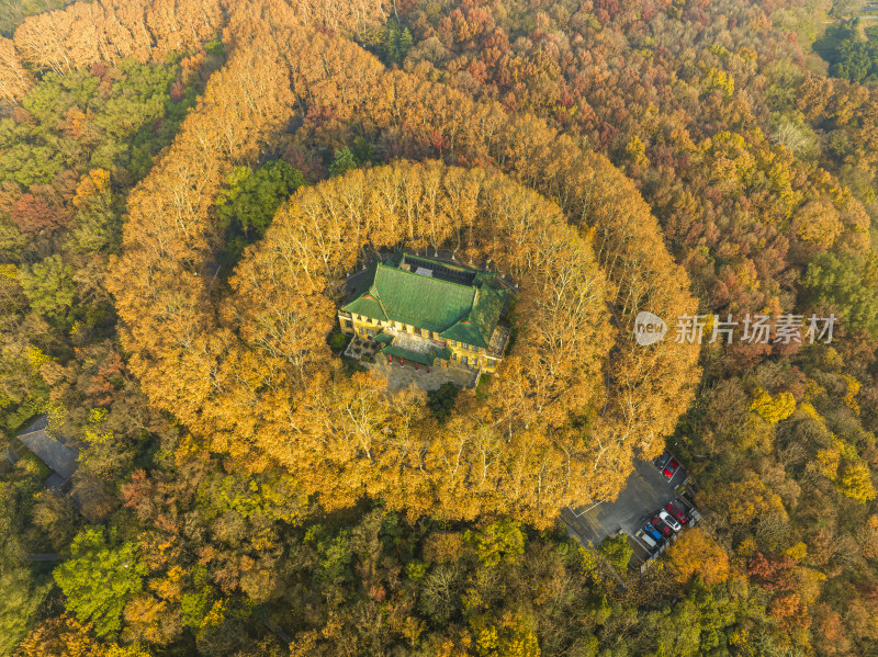 航拍秋季清晨南京中山陵风景区美龄宫