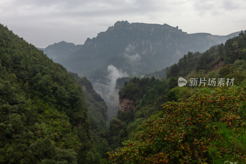 太行山涧雨后云雾蒸腾