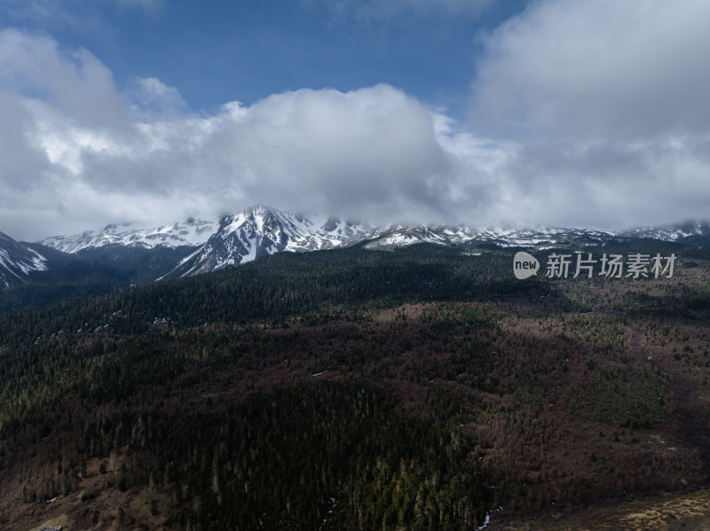 航拍美丽中国香格里拉高海高海拔雪山、森林