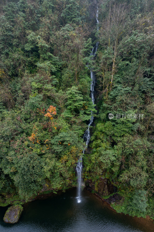 四川雅安龙苍沟山林溪流秋景