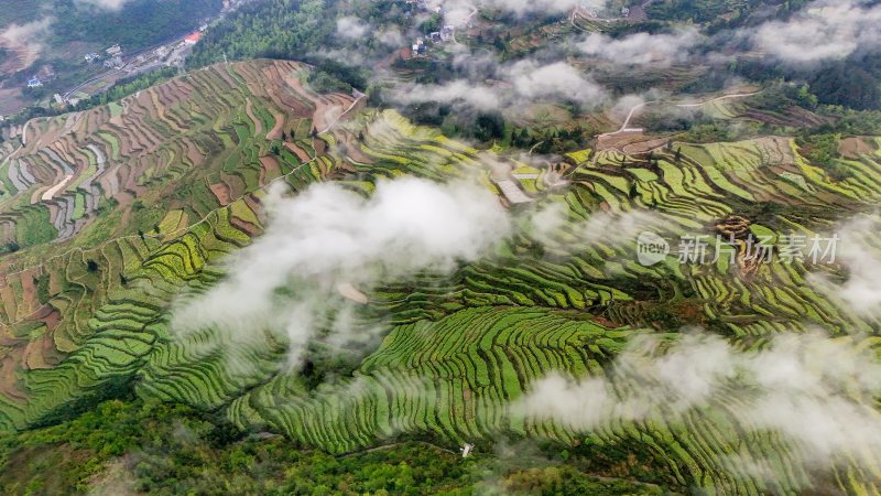 重庆酉阳：青山雾漫别样美