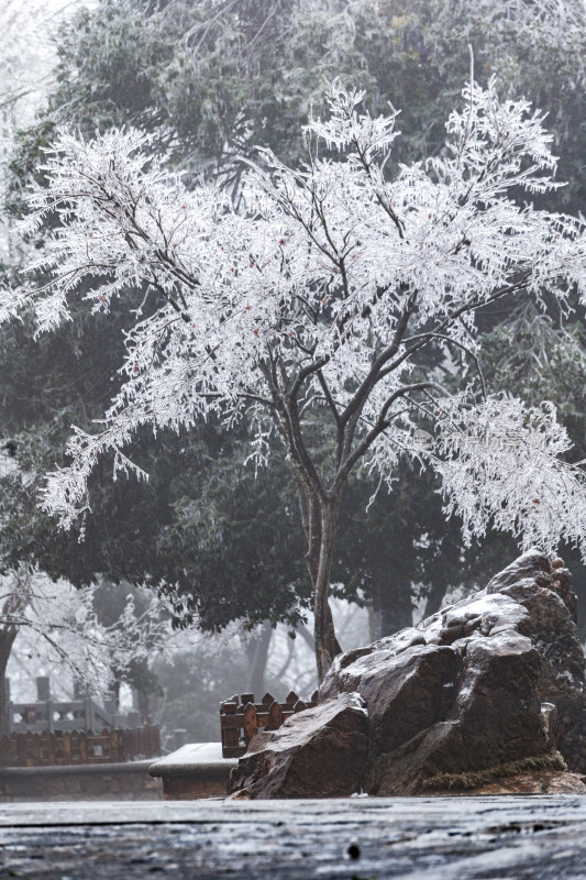 冰雪凝冻雾凇