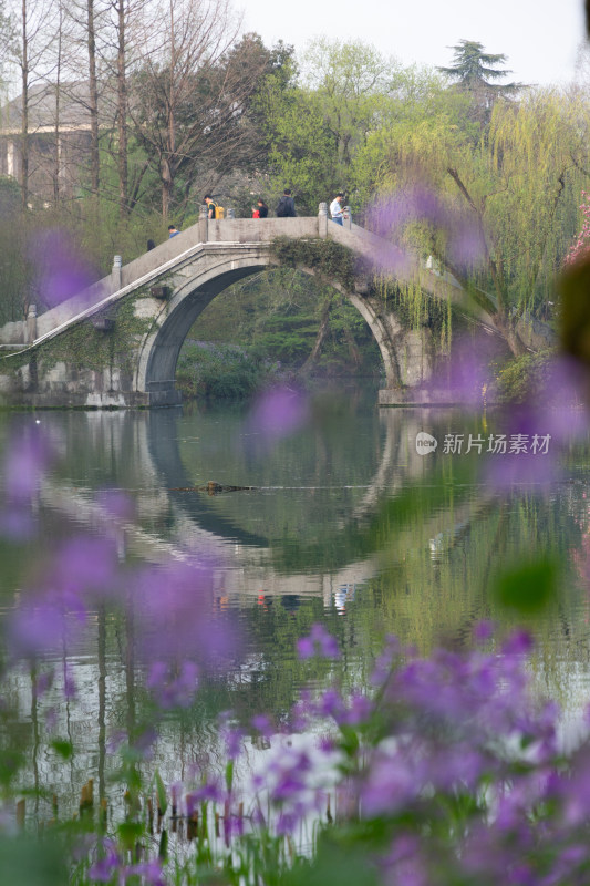 杭州浴鹄湾湖畔古亭与烂漫春花景致