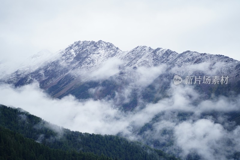 四川阿坝藏族羌族自治州四姑娘雪山风貌