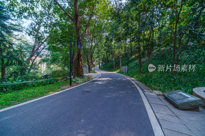 广州雕塑公园林荫休闲步道