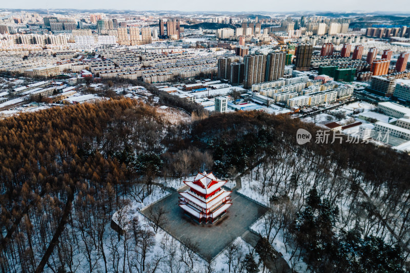 辽源向阳山森林公园