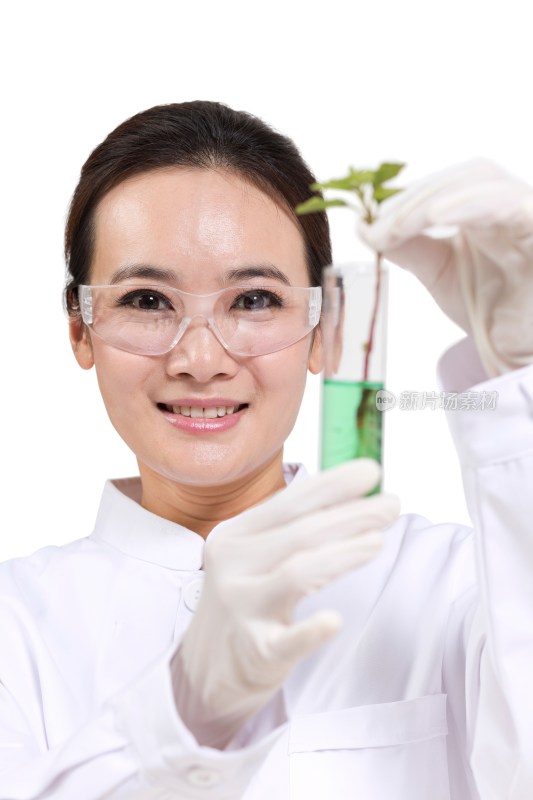 女科学家研究观察试管中的植物