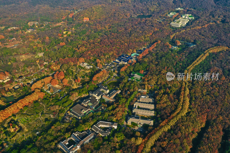 南京钟山的秋天美景