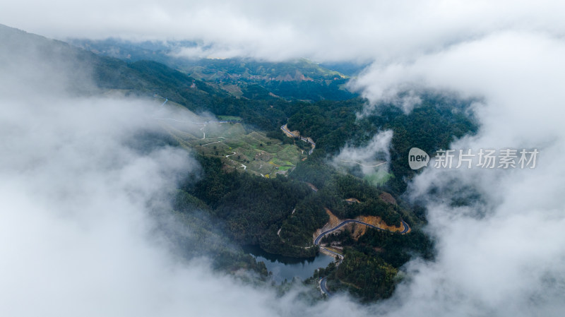 广西桂林龙脊梯田秋收稻田航拍风景