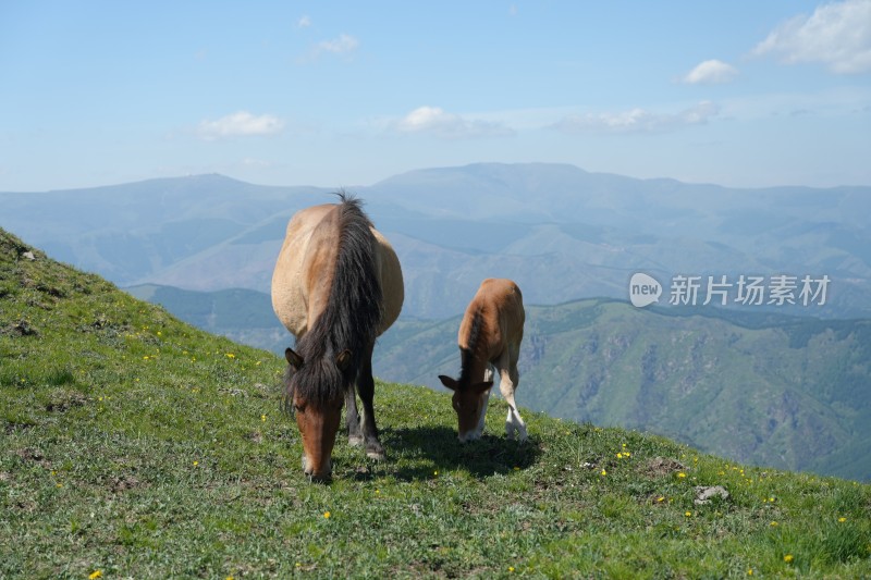 五台山南台风光