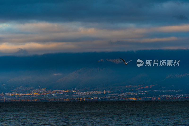 大理洱海 城市湖畔远山飞鸟暮色景观